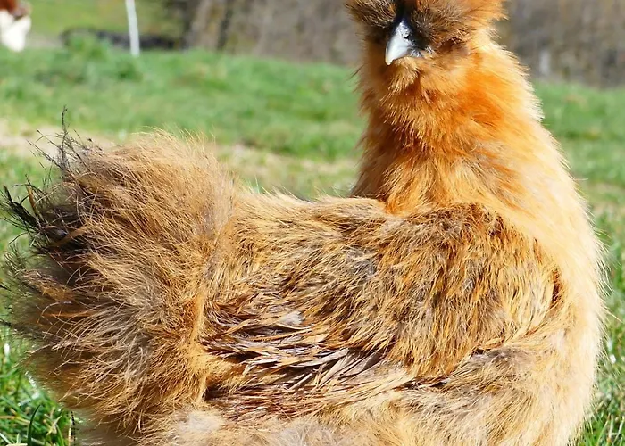 Camping Les Insolites Du Vélodrome D'albert *